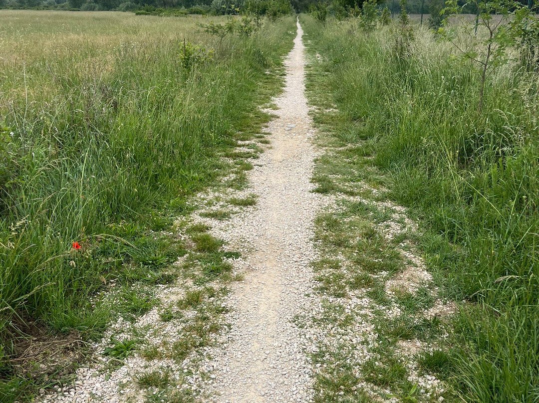 Pista Ciclabile del Trasimeno-Castiglione del Lago必去景点