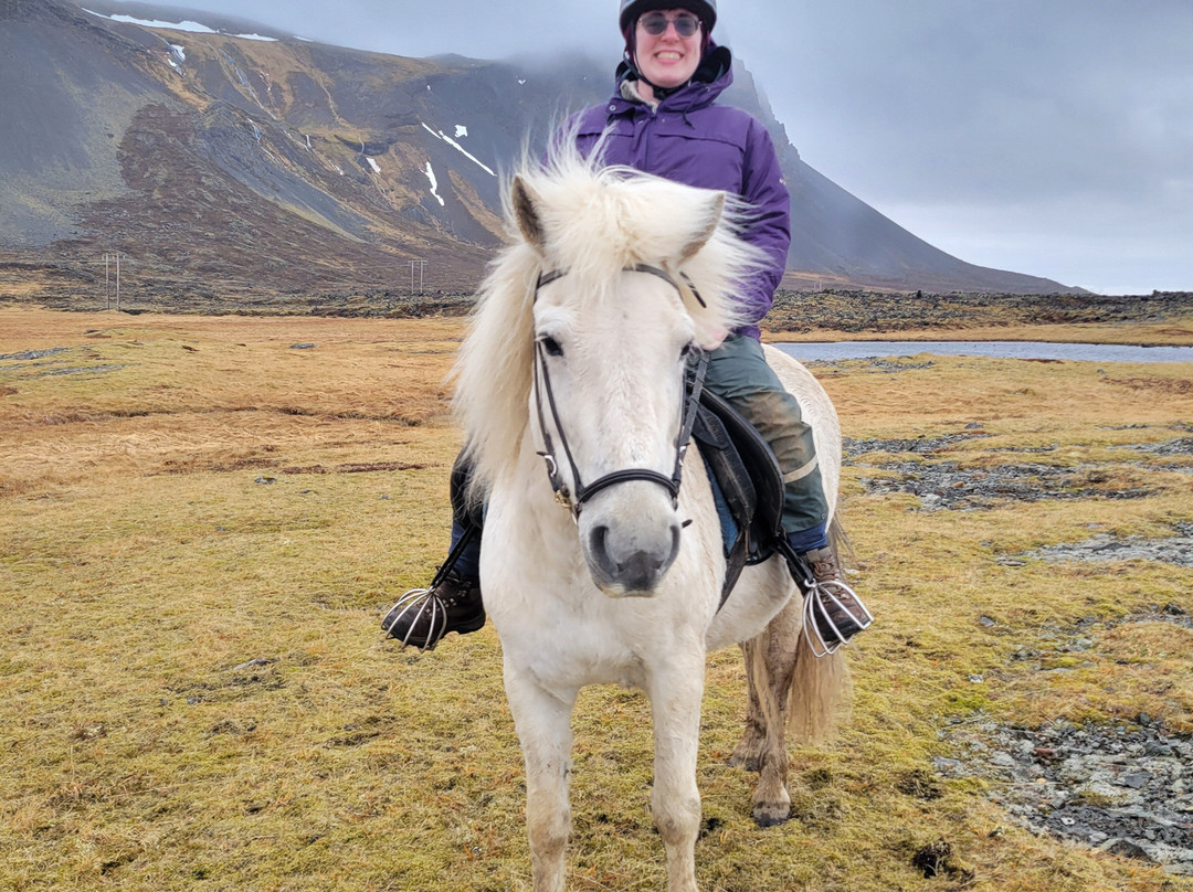 Lysuholl - Horseback riding tours-Snaefellsbaer必去景点
