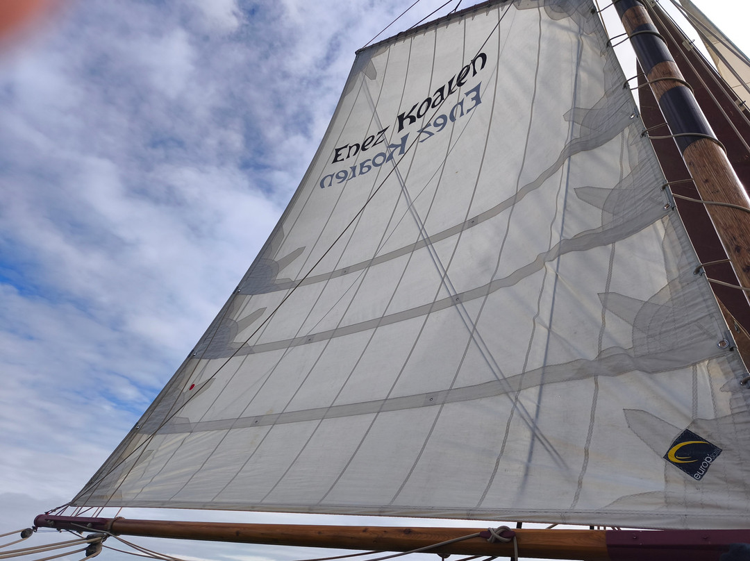 Voiles & Traditions-Paimpol必去景点