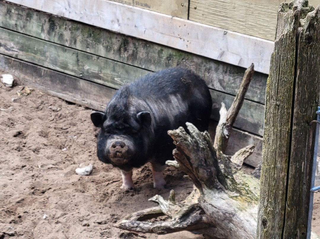 GarLyn Zoo Wildlife Park-Naubinway必去景点