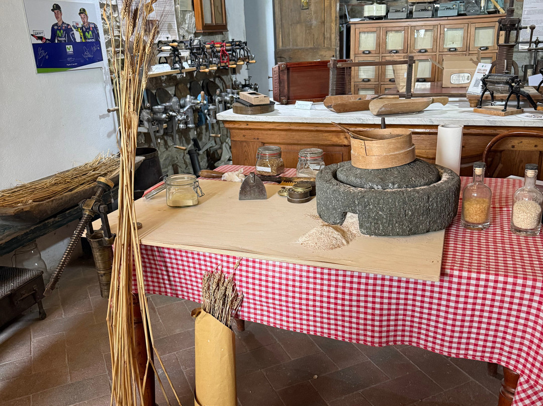 Pastificio Artigiano Fabbri - Il Museo della Pasta-Strada in Chianti必去景点
