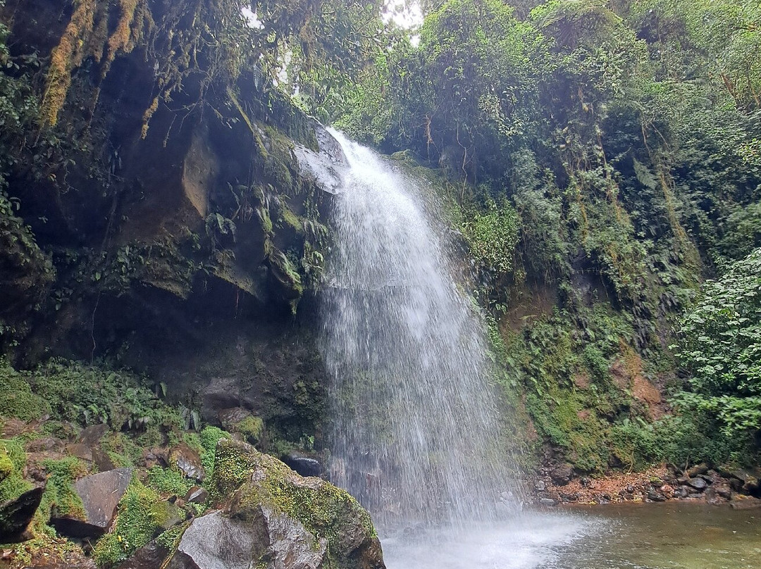 The Lost Waterfalls-Boquete-波魁特必去景点