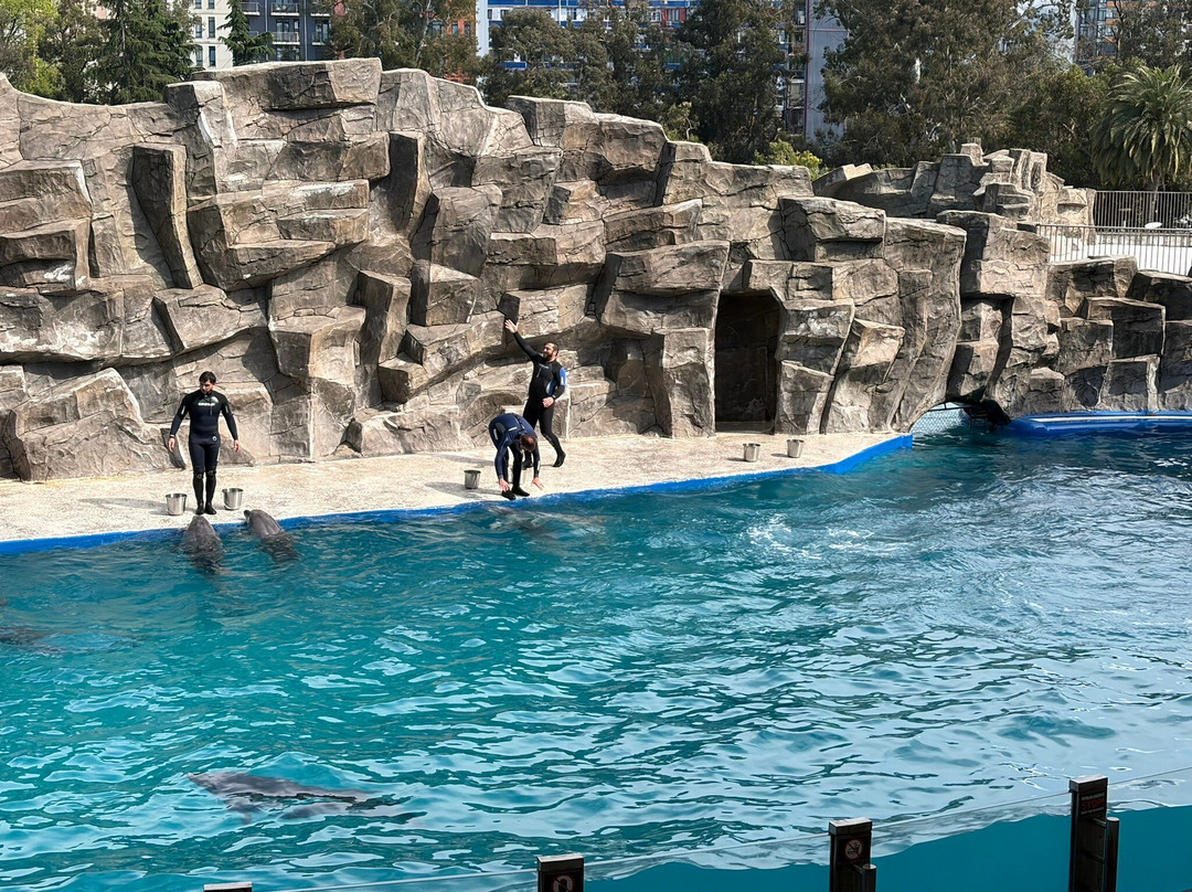 Batumi Dolphinarium-巴统必去景点