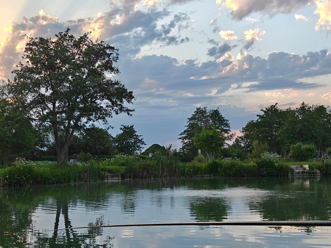 Burton Springs Fishing and Holidays-布里奇沃特必去景点