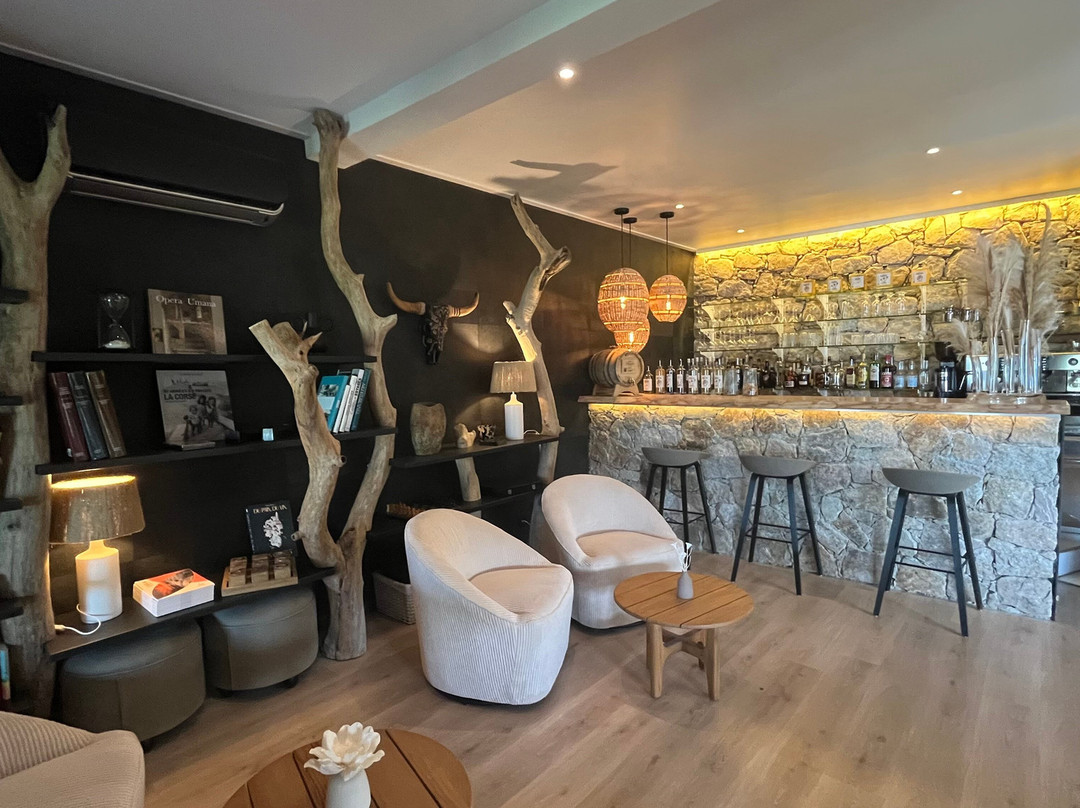 皮塔特拉酒店主图