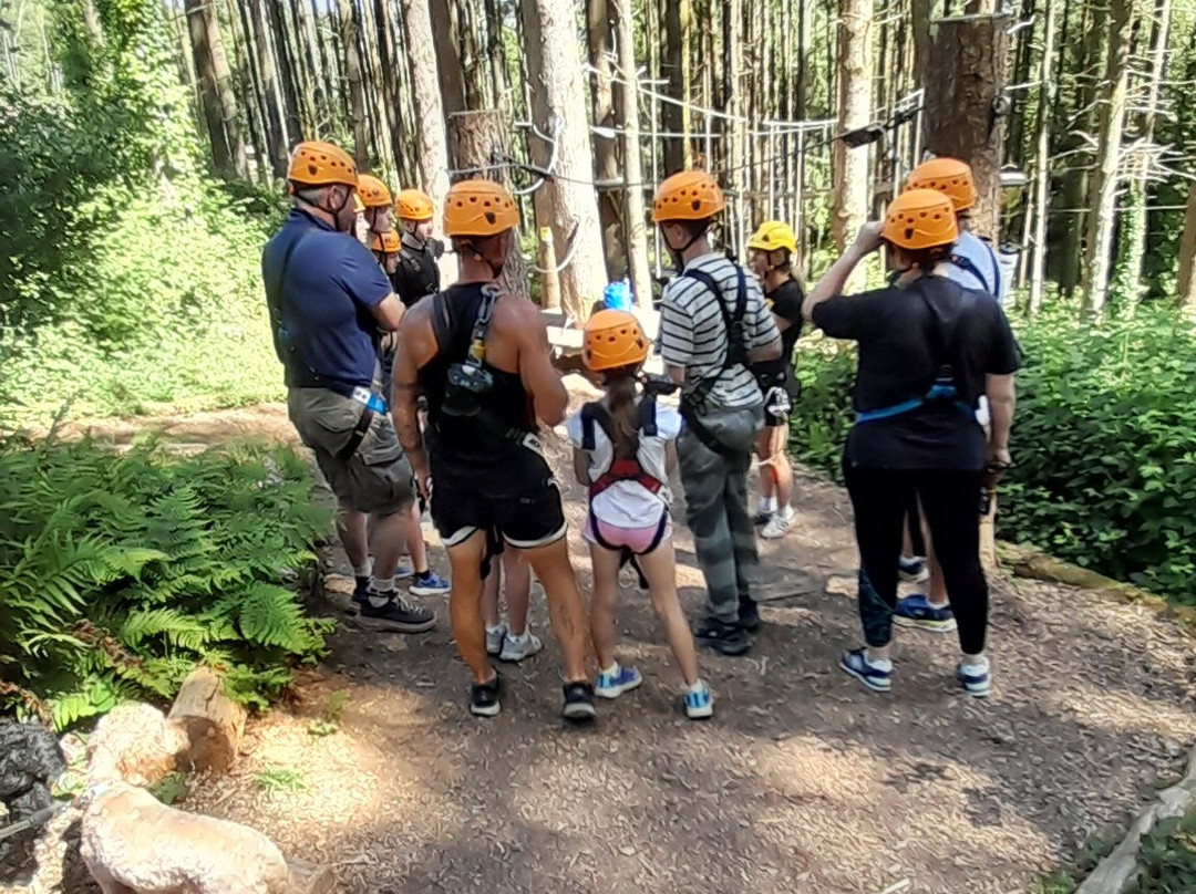 The Tunnel Tree Tops High Ropes-Charmouth必去景点