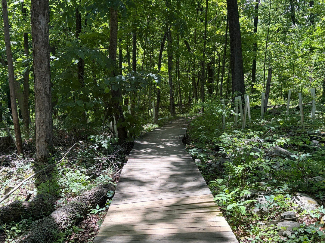 Sourland Mountain Preserve-希尔斯伯勒必去景点