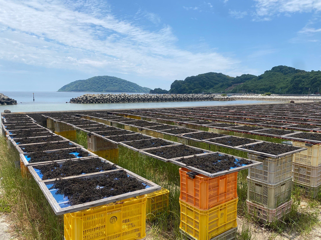 Gogoshima Island-松山市必去景点