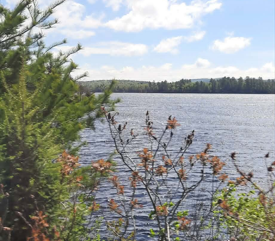 Adirondack Railroad-Utica必去景点