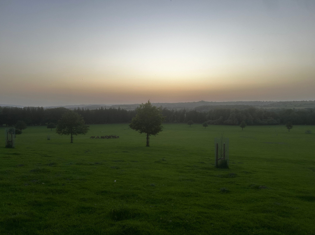 Harewood Holidays