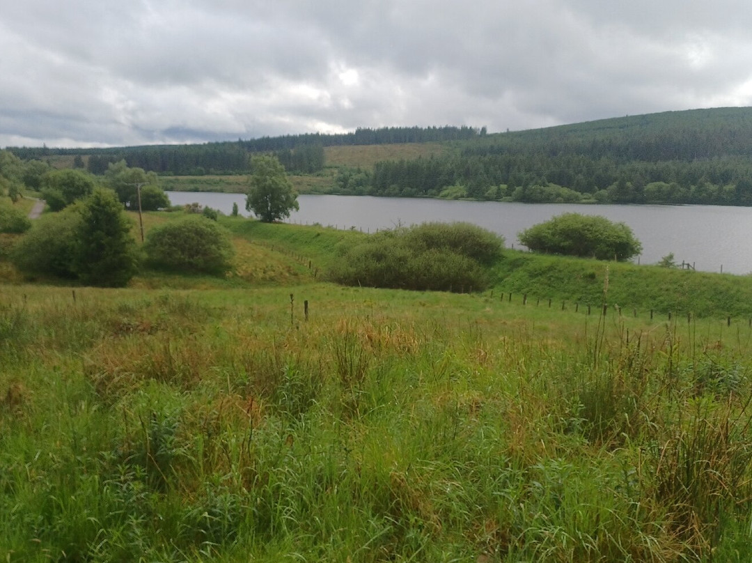 Kielder Forest-Kielder必去景点