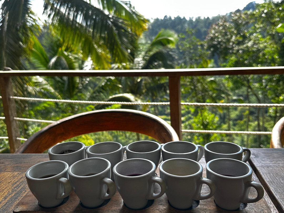 Bali Pulina Coffee Plantation-吉安雅必去景点