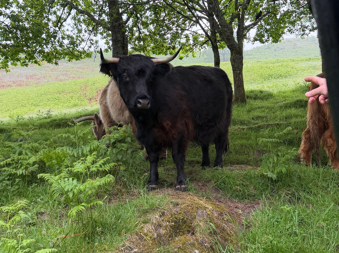 Nether Glenny Farm - Coos and Views-斯特灵必去景点