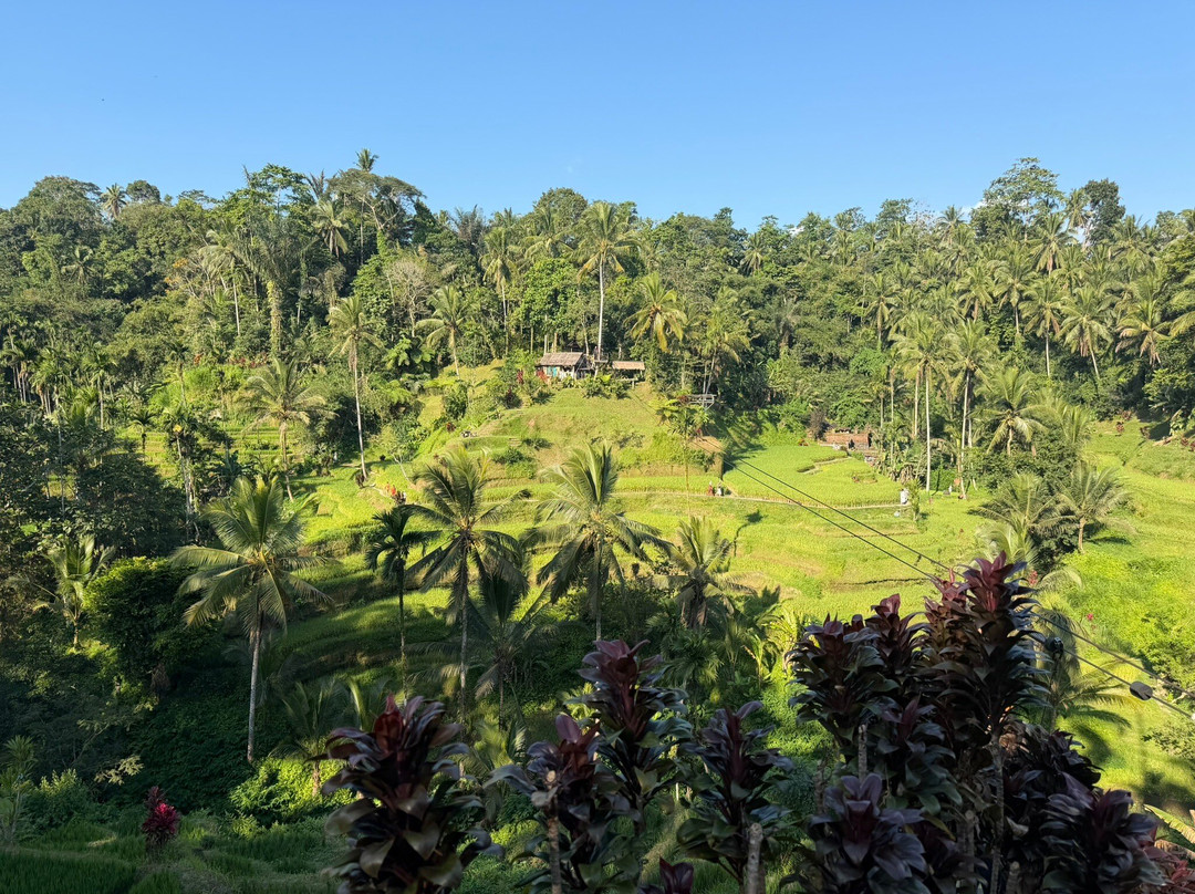 Ven a Bali-Batubulan必去景点