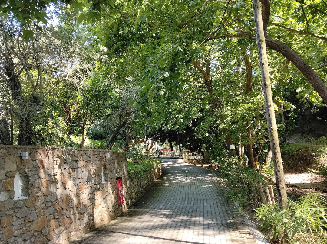 Myrtia Summer Village主图