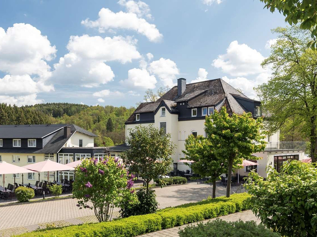 Kreuztal酒店住宿-Dorint Parkhotel Siegen