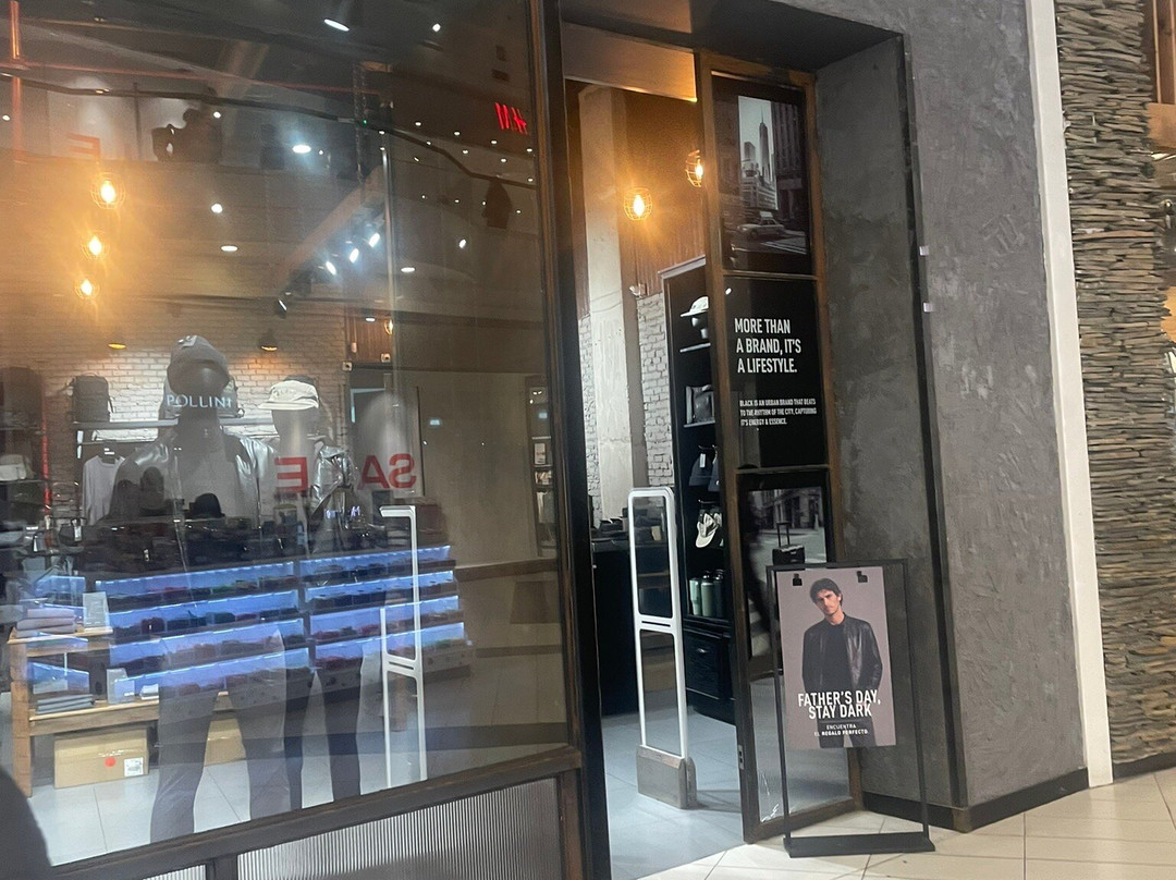 Mall Plaza Trebol-康塞普西翁必去景点