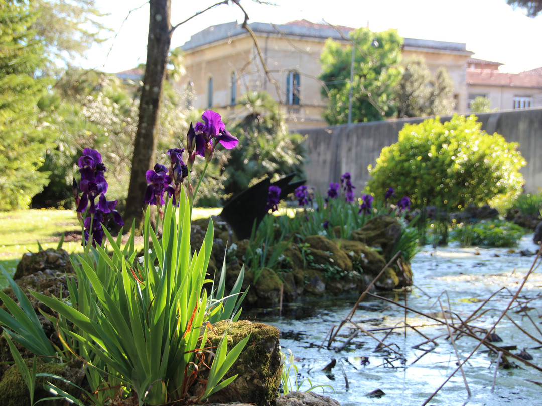 Orto e Museo Botanico di Pisa-比萨必去景点