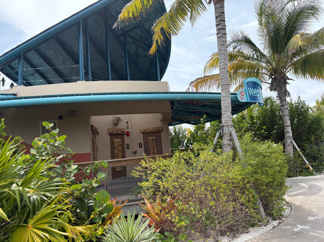 Disney Lookout Cay at Lighthouse Point-伊柳塞拉必去景点