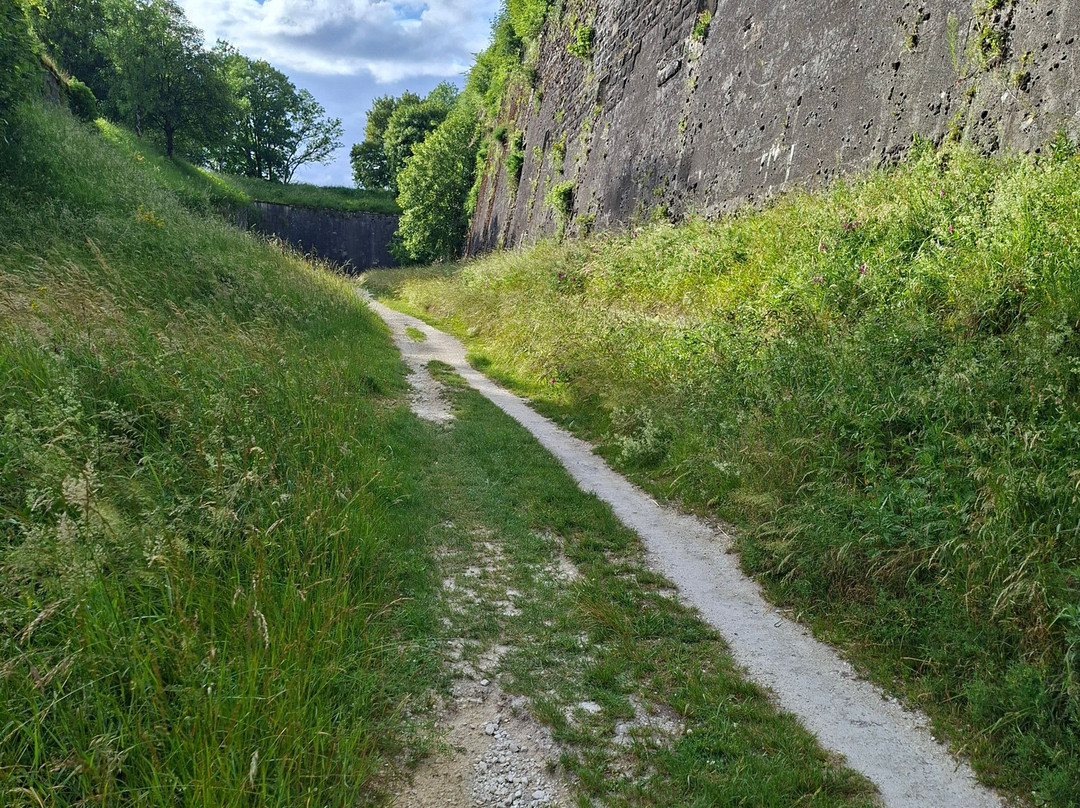 Citadelle Souterraine De Verdun-凡尔登必去景点
