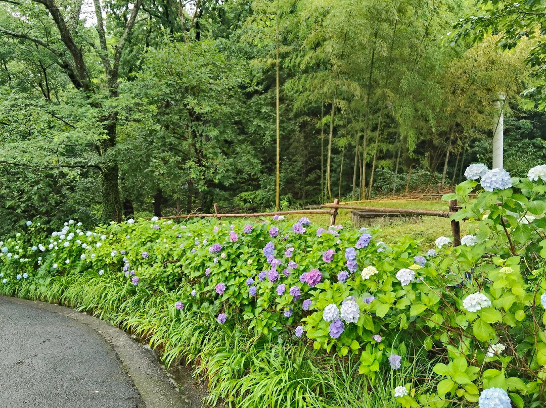 Kii Fudoki No Oka Museum of Archaeology and Folklore-和歌山市必去景点