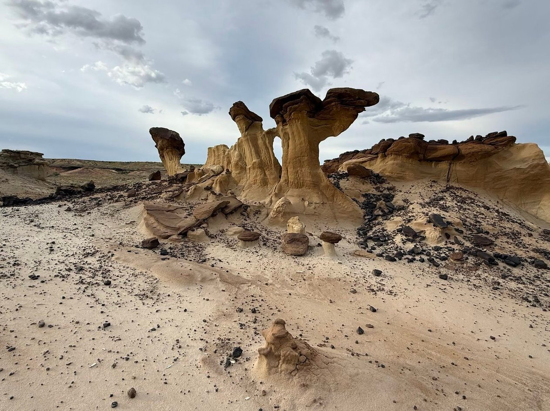Navajo Tours USA-Nageezi必去景点
