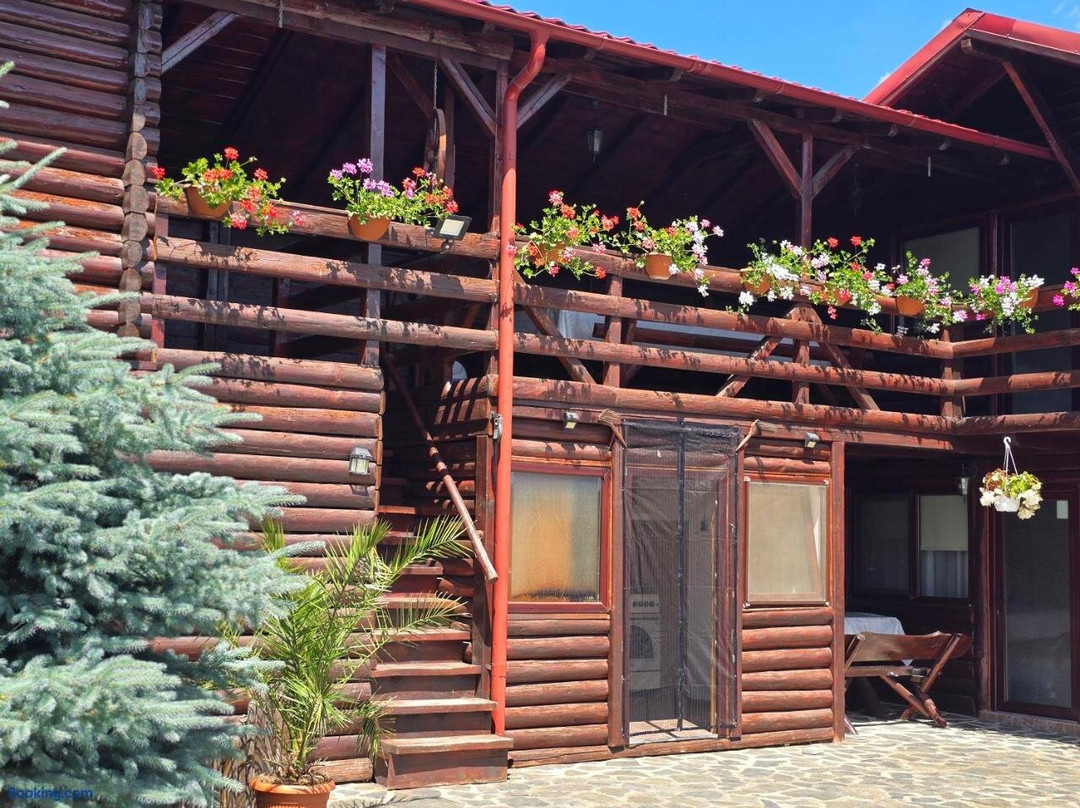 Casa Baciu