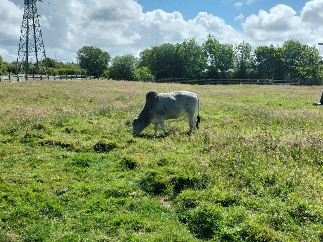 Farmer Parrs Animal World-Fleetwood必去景点
