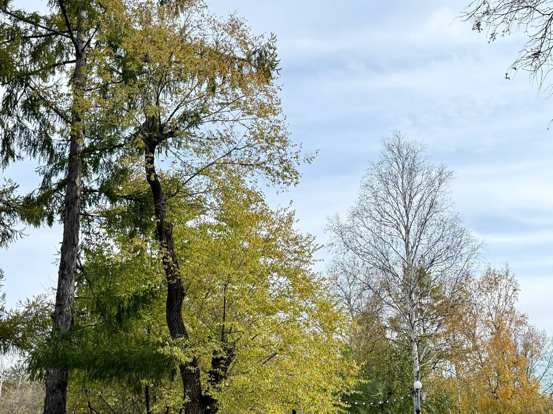 Gagarina Park-Komsomolsk-on-Amur必去景点