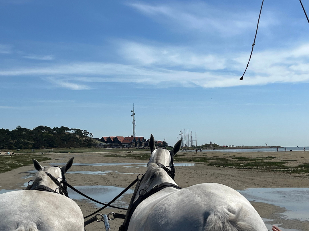 Groene strand-West-Terschelling必去景点