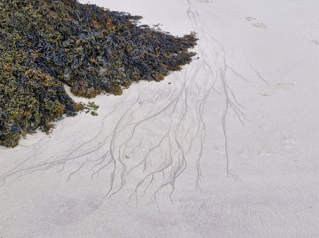 Achmelvich Bay-Lochinver必去景点