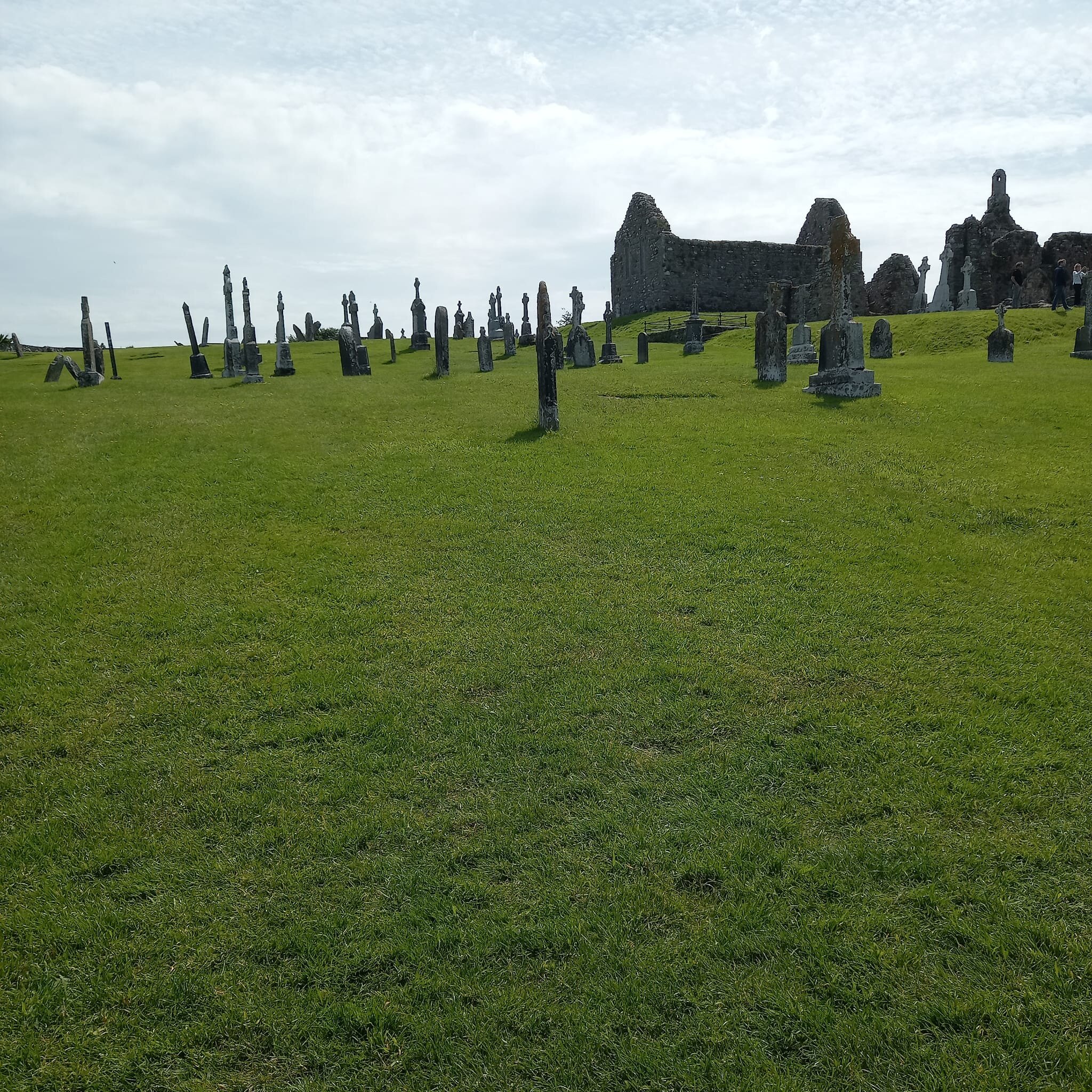 County Arms Birr-旅行者