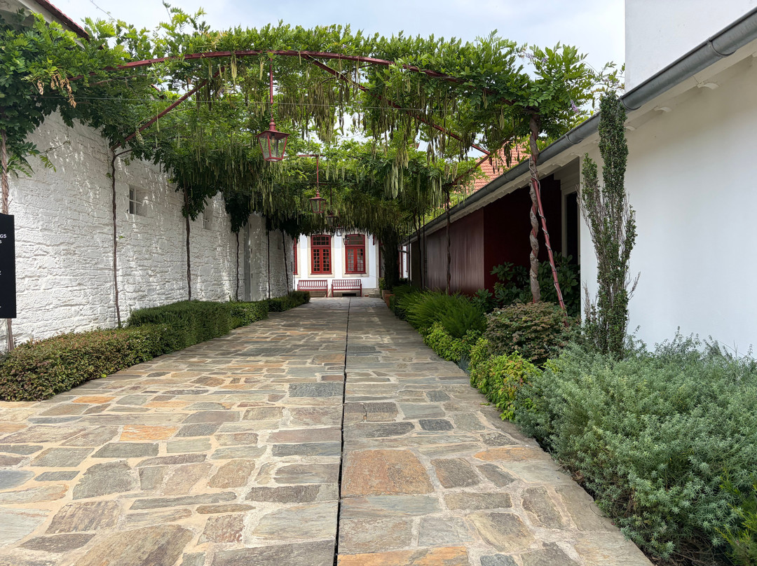 Quinta do Bomfim-Pinhao必去景点