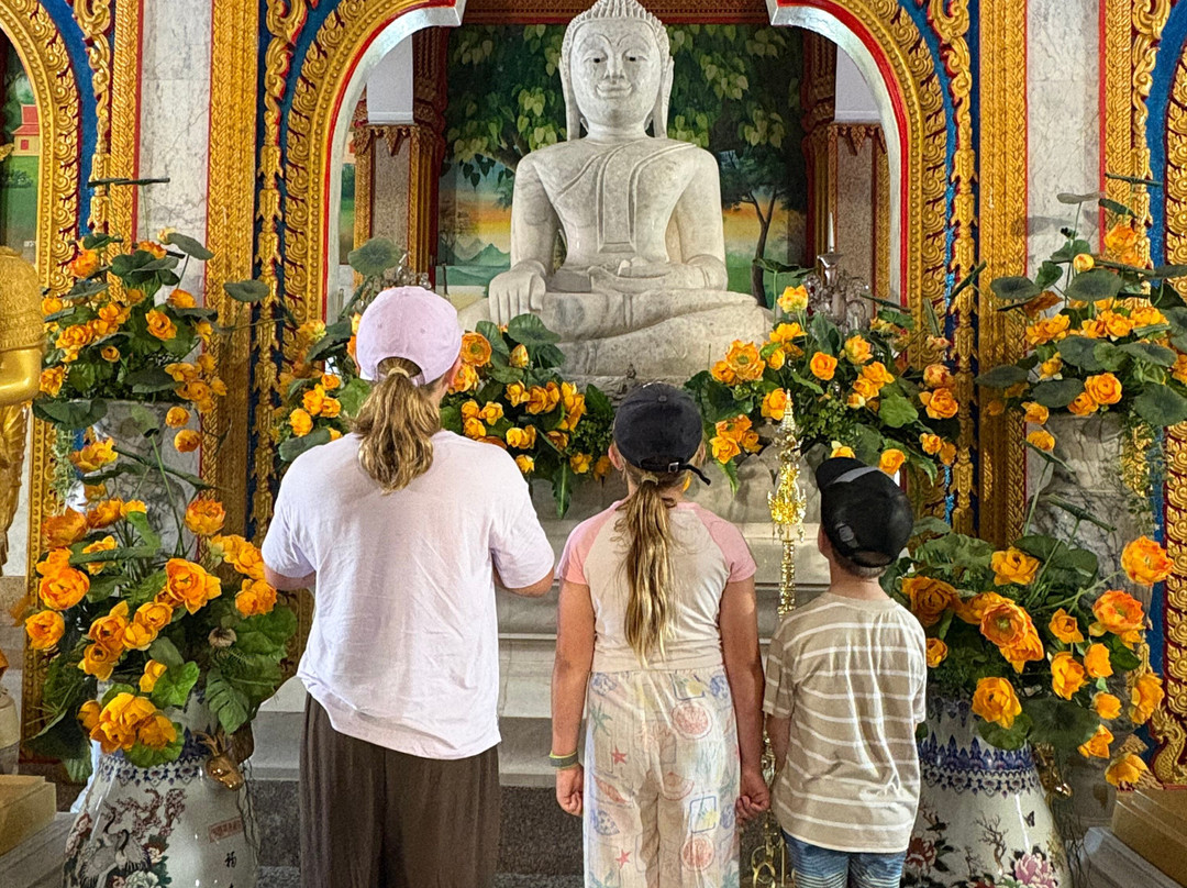 Phuket Elephant Care-奈通必去景点