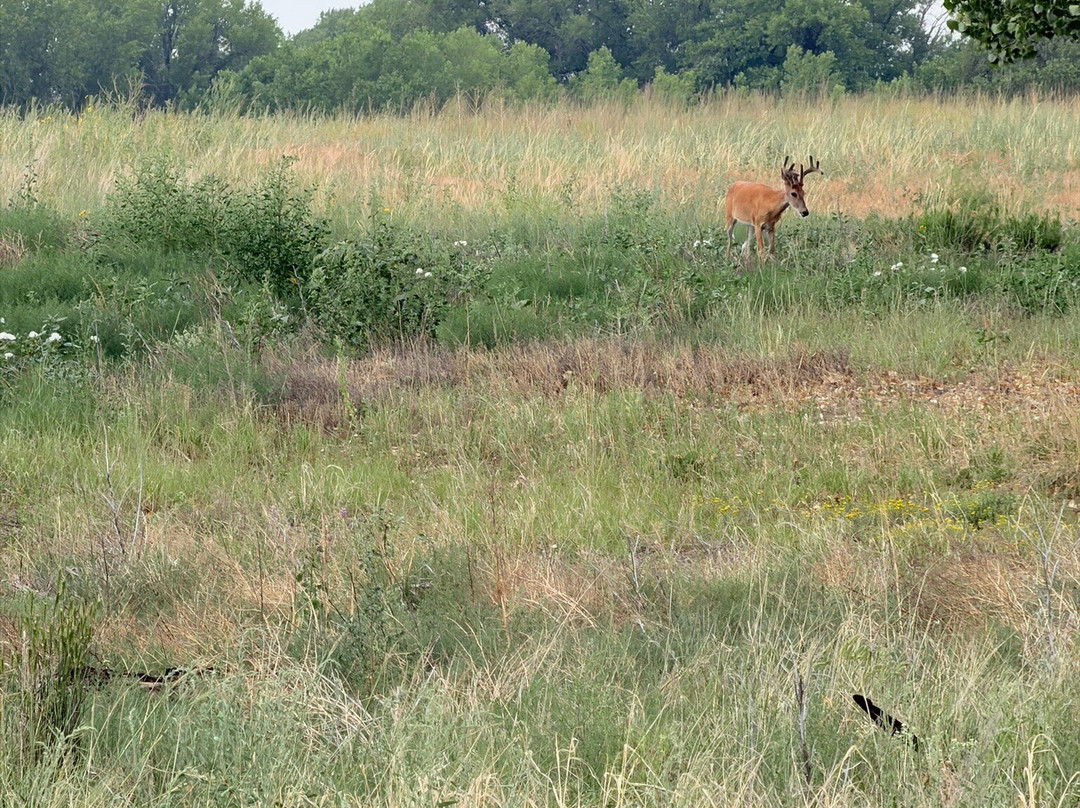Rocky Mountain Arsenal National Wildlife Refuge-Commerce City必去景点