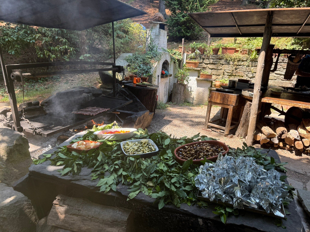 Agriturismo Le Camelie主图