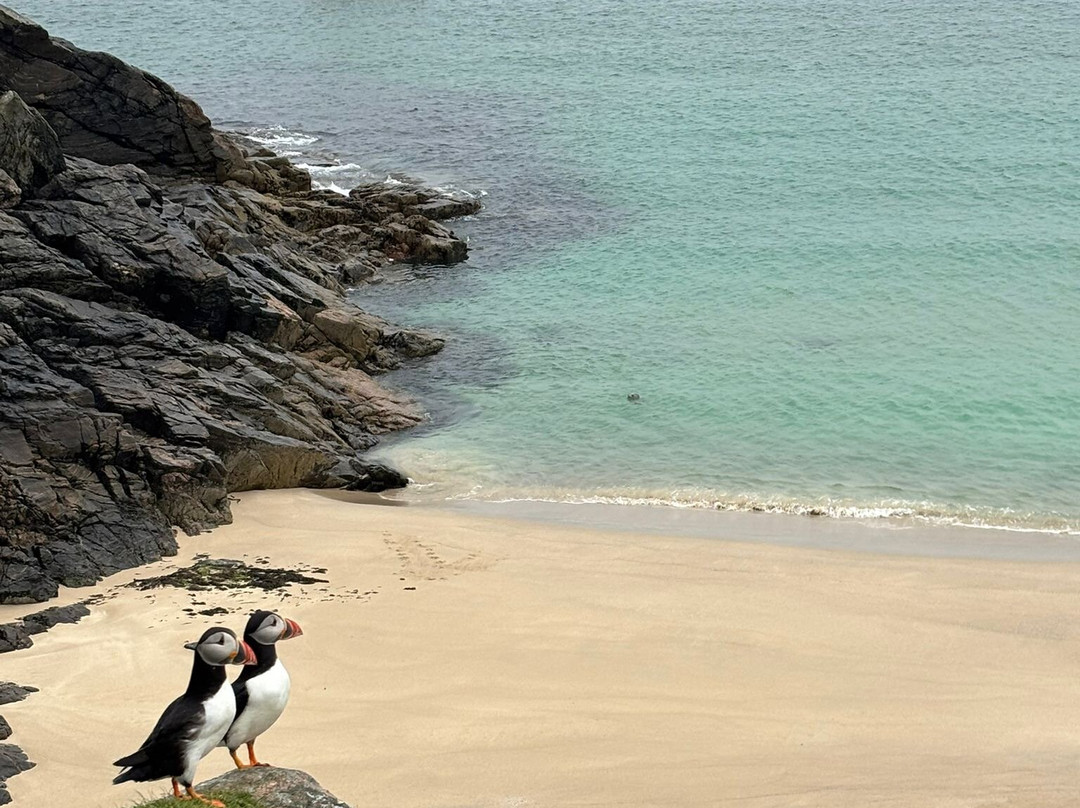 Hebridean Sea Tours-Castlebay必去景点