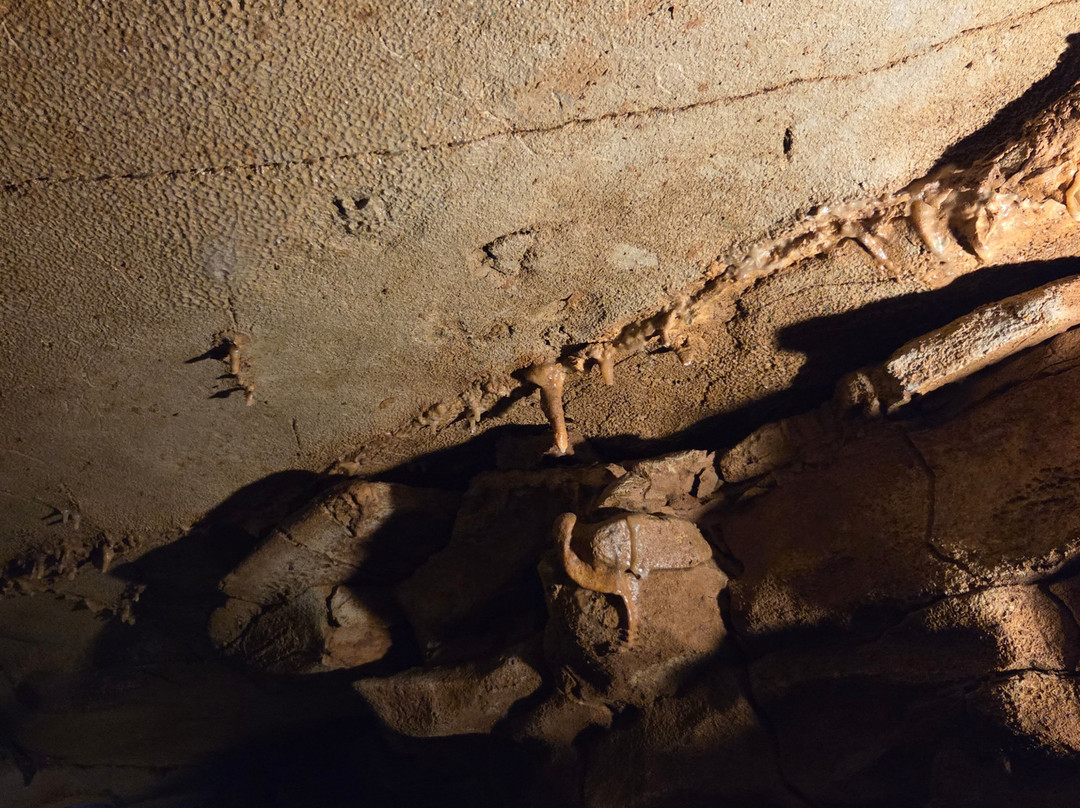 Indiana Caverns-Corydon必去景点