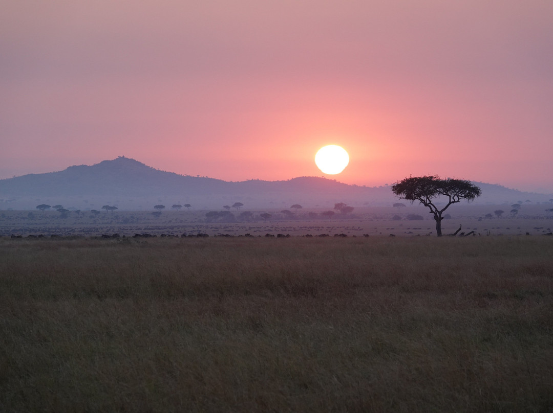 Unlimited Expeditions - The Soul Of Tanzania-阿鲁沙必去景点