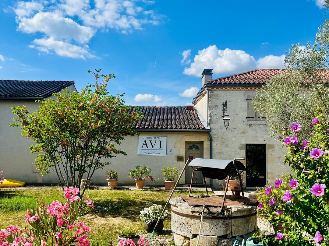 Domaine Christophe Avi