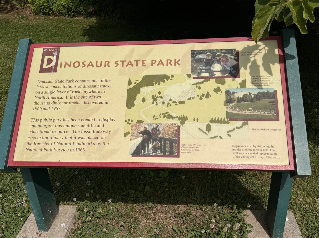 Dinosaur State Park & Arboretum-罗基希尔必去景点