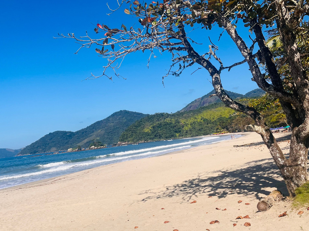Dagami Tour Ilhabela-伊利亚贝拉必去景点