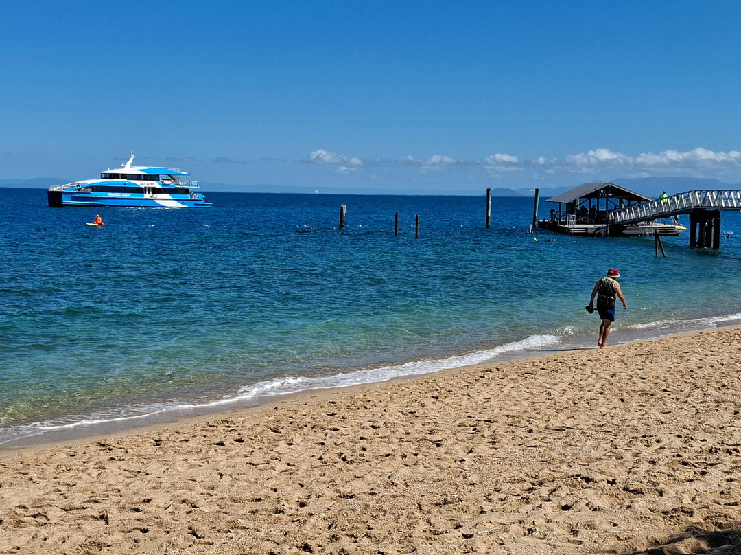 SeaLink Queensland - Magnetic Island Ferry Services-汤斯维尔必去景点
