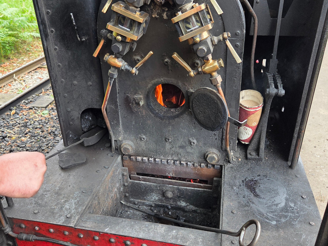 Sherwood Forest Railway-Mansfield必去景点