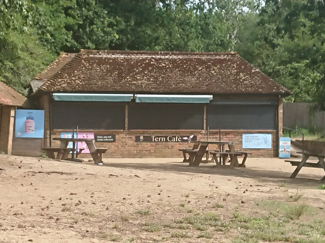 Frensham Little Pond-Frensham必去景点