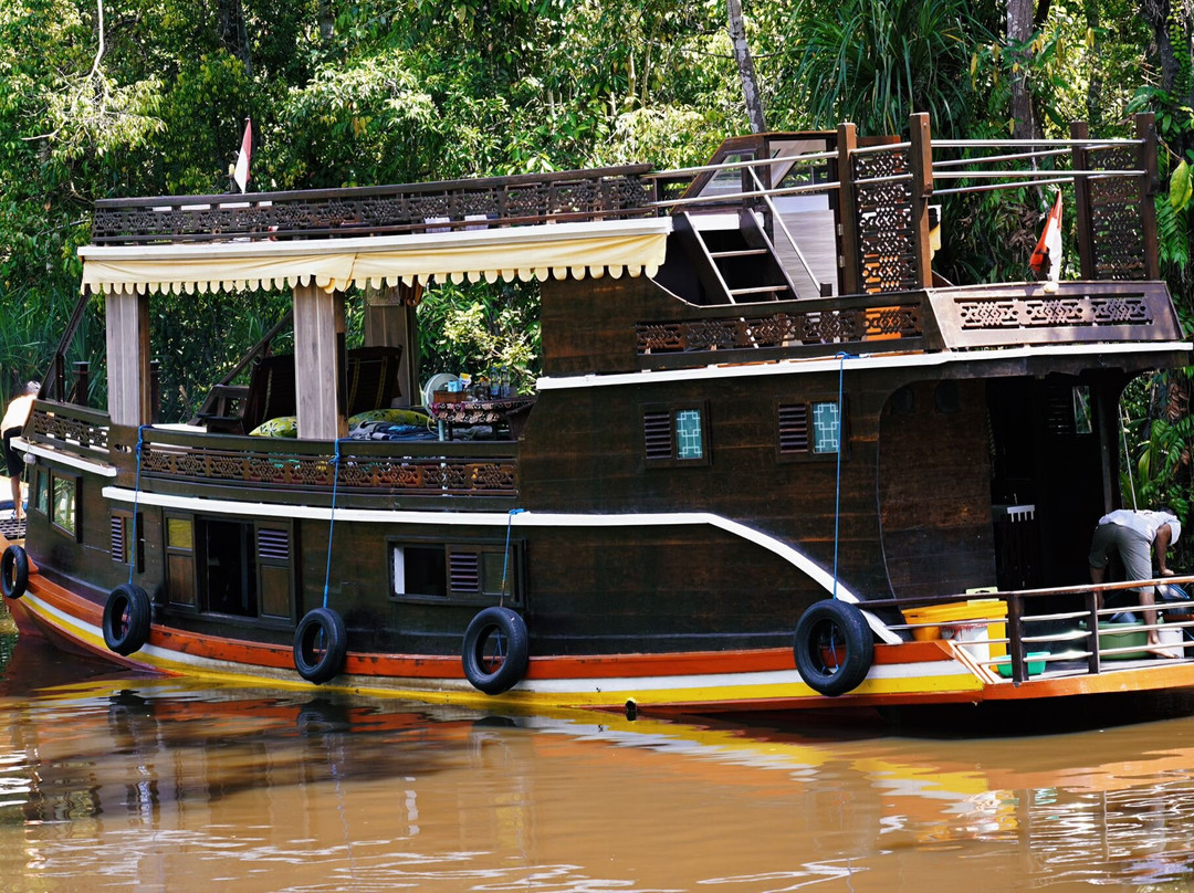 Orangutan Houseboat Tour-Kumai必去景点
