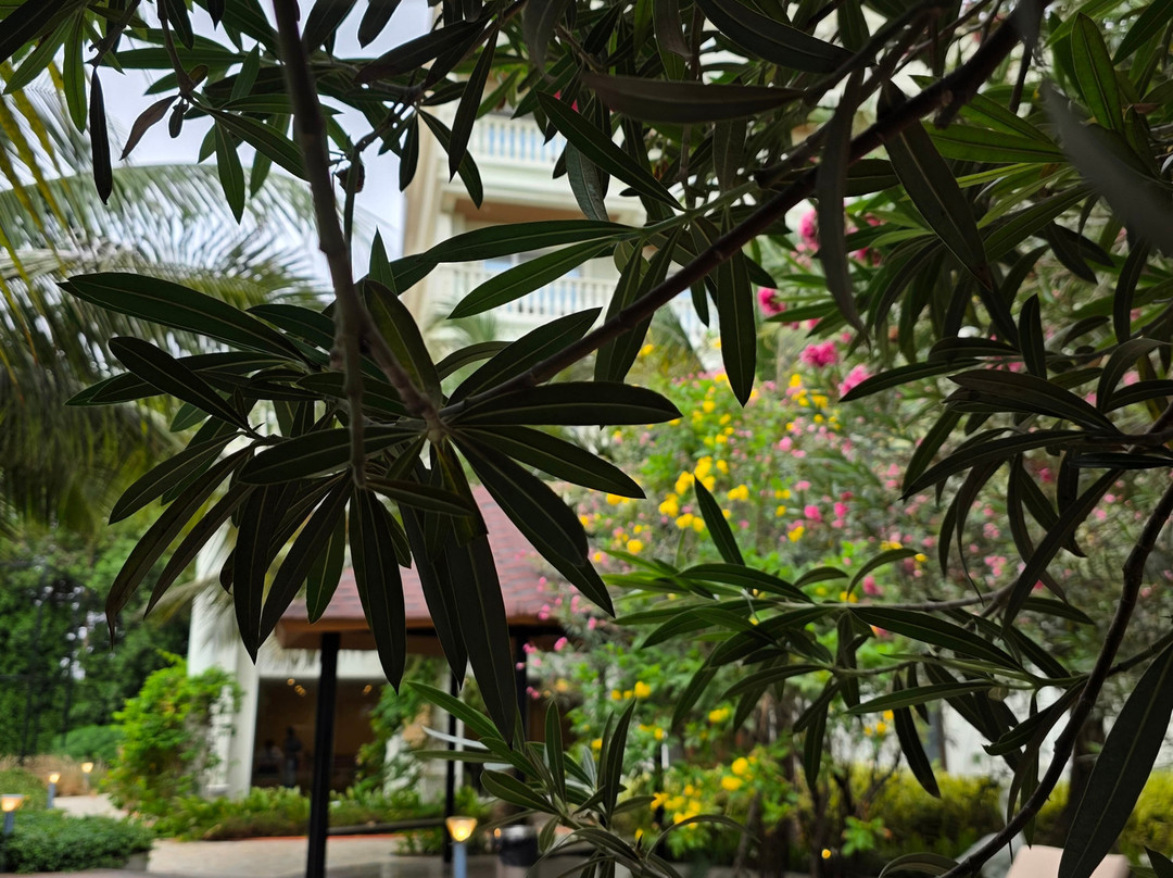 The Fern Sattva Resort Dwarka, Series by Marriott主图