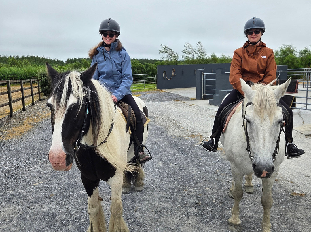 Mountain View Horse Riding Centre-Lisdoonvarna必去景点