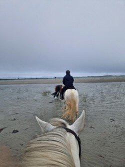 Moycullen Riding Centre-Moycullen必去景点