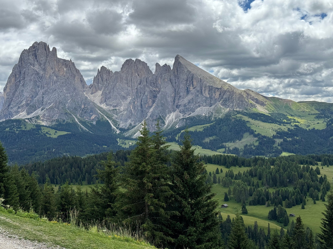 Alpe di Siusi-Alpe di Siusi必去景点